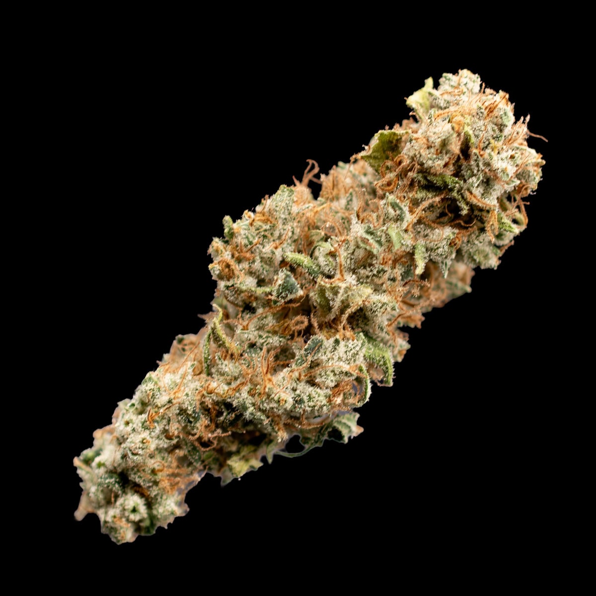 Grape Haze